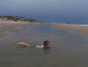 Image 84 (Beach_Pics_from_Mike_2012_1_35_small.gif) for directory Beach Pics from Mike 2012 1.