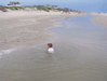 Image 87 (Beach_Pics_from_Mike_2012_1_38_small.gif) for directory Beach Pics from Mike 2012 1.