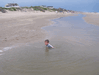 Image 88 (Beach_Pics_from_Mike_2012_1_39_small.gif) for directory Beach Pics from Mike 2012 1.