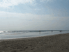 Image 144 (Beach_Pics_from_Mike_2012_1_8_small.gif) for directory Beach Pics from Mike 2012 1.