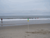 Image 152 (Beach_Pics_from_Mike_2012_1_97_small.gif) for directory Beach Pics from Mike 2012 1.