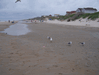 Image 10 (Beach_Pics_from_Mike_2012_2_109_small.gif) for directory Beach Pics from Mike 2012 2.