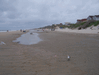 Image 13 (Beach_Pics_from_Mike_2012_2_111_small.gif) for directory Beach Pics from Mike 2012 2.