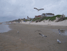 Image 18 (Beach_Pics_from_Mike_2012_2_116_small.gif) for directory Beach Pics from Mike 2012 2.