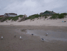 Image 19 (Beach_Pics_from_Mike_2012_2_117_small.gif) for directory Beach Pics from Mike 2012 2.