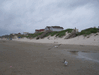 Image 20 (Beach_Pics_from_Mike_2012_2_118_small.gif) for directory Beach Pics from Mike 2012 2.