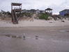 Image 23 (Beach_Pics_from_Mike_2012_2_120_small.gif) for directory Beach Pics from Mike 2012 2.