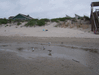 Image 24 (Beach_Pics_from_Mike_2012_2_121_small.gif) for directory Beach Pics from Mike 2012 2.