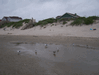 Image 25 (Beach_Pics_from_Mike_2012_2_122_small.gif) for directory Beach Pics from Mike 2012 2.