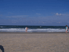 Image 55 (Beach_Pics_from_Mike_2012_2_14_small.gif) for directory Beach Pics from Mike 2012 2.