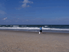 Image 64 (Beach_Pics_from_Mike_2012_2_17_small.gif) for directory Beach Pics from Mike 2012 2.