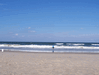 Image 75 (Beach_Pics_from_Mike_2012_2_27_small.gif) for directory Beach Pics from Mike 2012 2.