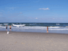 Image 84 (Beach_Pics_from_Mike_2012_2_35_small.gif) for directory Beach Pics from Mike 2012 2.