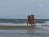 Image 99 (Beach_Pics_from_Mike_2012_2_49_small.gif) for directory Beach Pics from Mike 2012 2.