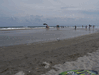 Image 109 (Beach_Pics_from_Mike_2012_2_58_small.gif) for directory Beach Pics from Mike 2012 2.