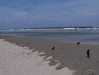 Image 113 (Beach_Pics_from_Mike_2012_2_61_small.gif) for directory Beach Pics from Mike 2012 2.