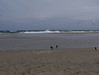 Random User Pic Beach_Pics_from_Mike_2012_2_63.gif for the year 2012 directory Beach Pics from Mike 2012 2