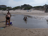 Image 117 (Beach_Pics_from_Mike_2012_2_65_small.gif) for directory Beach Pics from Mike 2012 2.