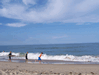 Random User Pic Nags_Head_2013_1_104.gif for the year 2013 directory Nags Head 2013 1