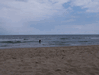 Image 13 (Nags_Head_2013_1_111_small.gif) for directory Nags Head 2013 1.