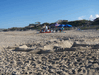 Image 129 (Nags_Head_2013_1_216_small.gif) for directory Nags Head 2013 1.