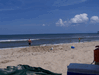 Image 153 (Nags_Head_2013_1_238_small.gif) for directory Nags Head 2013 1.