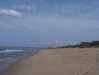 Image 9 (Nags_Head_2013_2_108_small.gif) for directory Nags Head 2013 2.