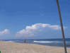 Image 63 (Nags_Head_2013_2_157_small.gif) for directory Nags Head 2013 2.