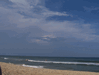 Image 86 (Nags_Head_2013_2_178_small.gif) for directory Nags Head 2013 2.