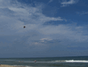 Image 89 (Nags_Head_2013_2_180_small.gif) for directory Nags Head 2013 2.