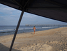 Image 106 (Nags_Head_2013_2_196_small.gif) for directory Nags Head 2013 2.