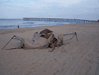 Image 112 (Nags_Head_2013_2_200_small.gif) for directory Nags Head 2013 2.