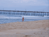 Image 120 (Nags_Head_2013_2_208_small.gif) for directory Nags Head 2013 2.