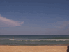 Image 226 (Nags_Head_2013_2_78_small.gif) for directory Nags Head 2013 2.