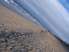 Image 23 (Nags_Head_2013_3_120_small.gif) for directory Nags Head 2013 3.