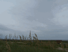 Image 75 (Nags_Head_2013_3_57_small.gif) for directory Nags Head 2013 3.