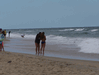 Random User Pic Nags_Head_2013_3_90.gif for the year 2013 directory Nags Head 2013 3