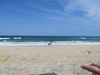 Image 4 (OBX_2014_1_103_small.gif) for directory OBX 2014 1.