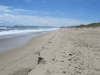 Image 47 (OBX_2014_1_142_small.gif) for directory OBX 2014 1.