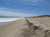 Image 49 (OBX_2014_1_144_small.gif) for directory OBX 2014 1.