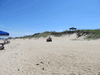 Image 149 (OBX_2014_1_234_small.gif) for directory OBX 2014 1.