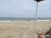 Image 183 (OBX_2014_1_52_small.gif) for directory OBX 2014 1.