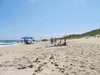 Image 208 (OBX_2014_1_75_small.gif) for directory OBX 2014 1.