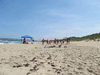 Image 216 (OBX_2014_1_82_small.gif) for directory OBX 2014 1.