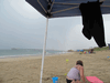 Image 235 (OBX_2014_1_9_small.gif) for directory OBX 2014 1.