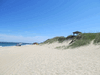 Random User Pic OBX_2014_2_47.gif for the year 2014 directory OBX 2014 2