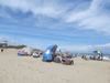 Image 80 (OBX_2014_3_82_small.gif) for directory OBX 2014 3.