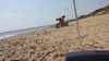 Image 11 (Beach_2015_10_small.gif) for directory Beach 2015.