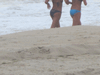 Image 13 (Beach_2015_111_small.gif) for directory Beach 2015.