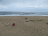 Image 16 (Beach_2015_114_small.gif) for directory Beach 2015.